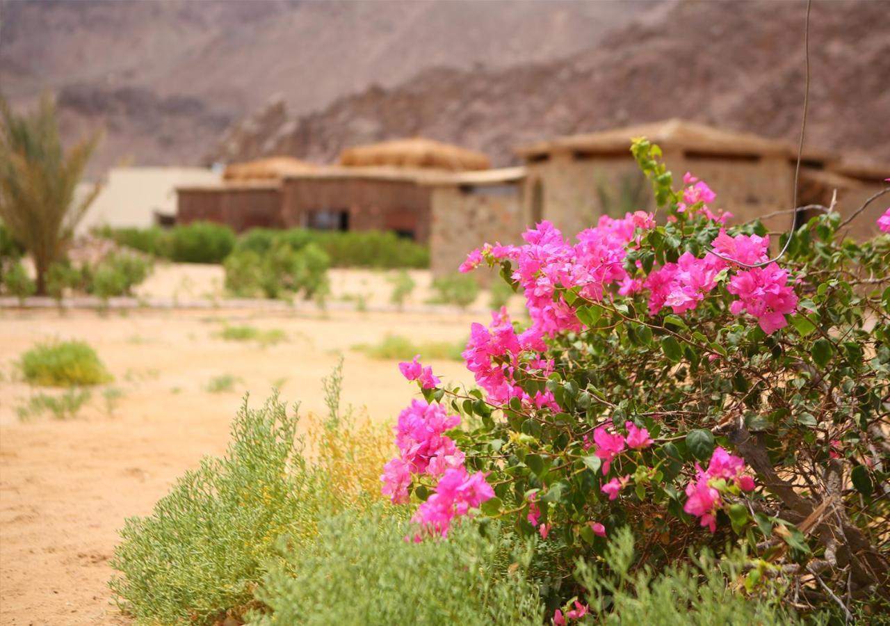 Safari Beach Nuweiba Hotel Exterior photo